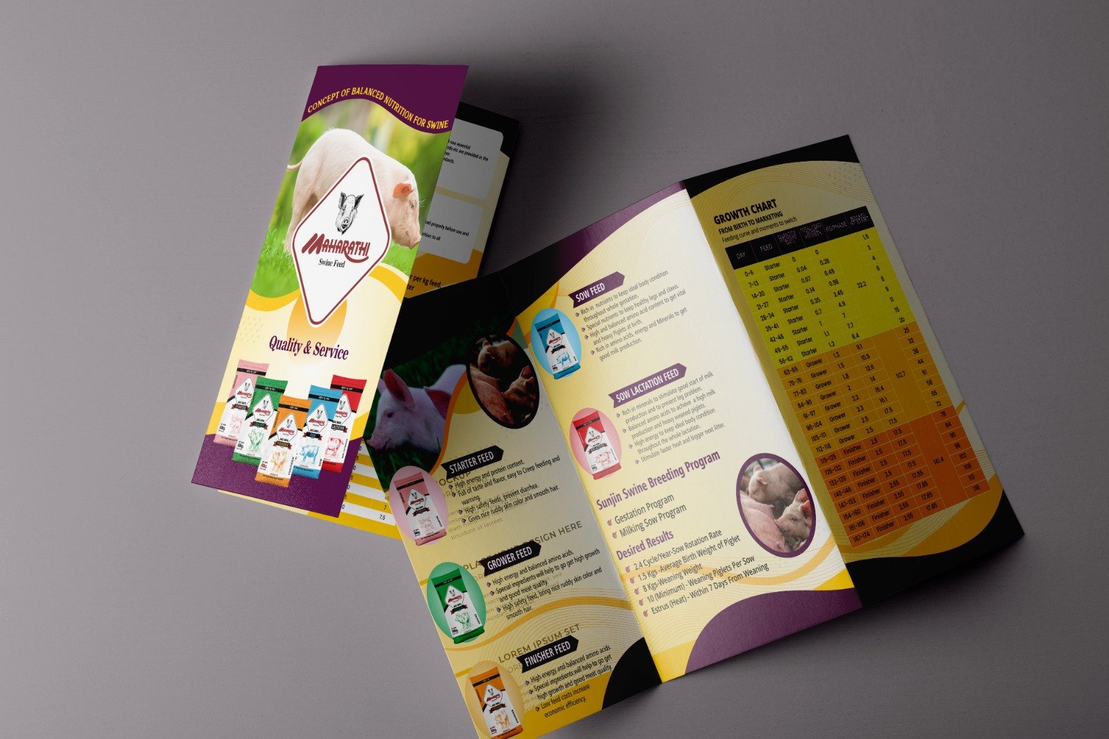 WhatsApp Image 2025-11-25 at 2.58.46 PM